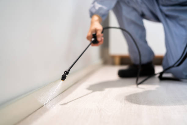 Licensed Termite Control service in Manhattan, KS - Nex Pest Control