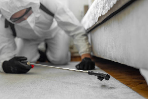 Professional Termite Control technician working in Manhattan, KS
