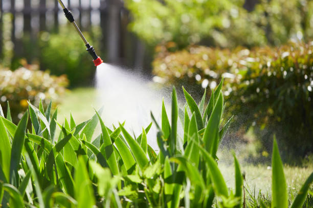 24/7 Emergency Termite Control experts in Manhattan, KS