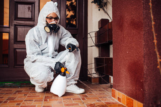 Reliable Termite Control contractor in Manhattan, KS by Nex Pest Control