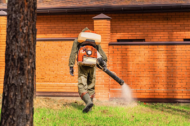 Trusted Termite Control service in Manhattan, KS - Nex Pest Control